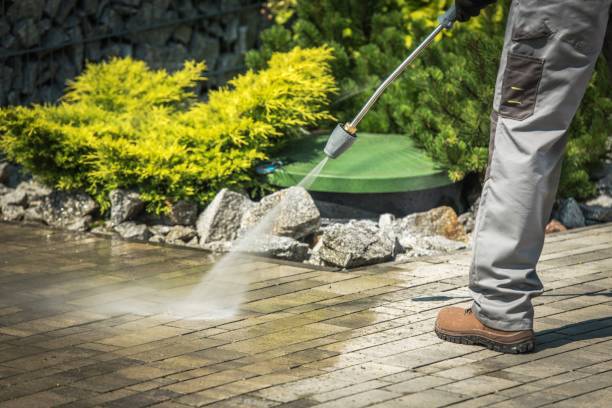 Best Spring Cleaning  in Brown City, MI