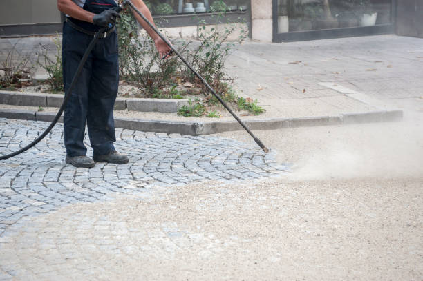 Best Gutter Cleaning  in Brown City, MI