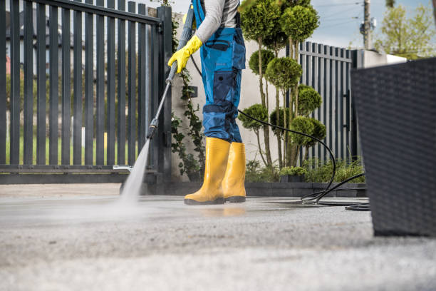 Best Playground Equipment Cleaning  in Brown City, MI