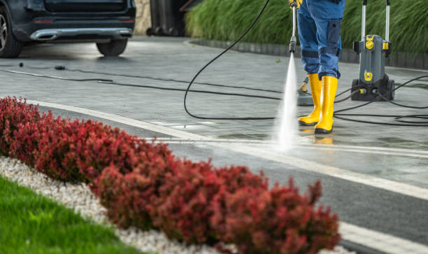 Best Restaurant Pressure Washing  in Brown City, MI